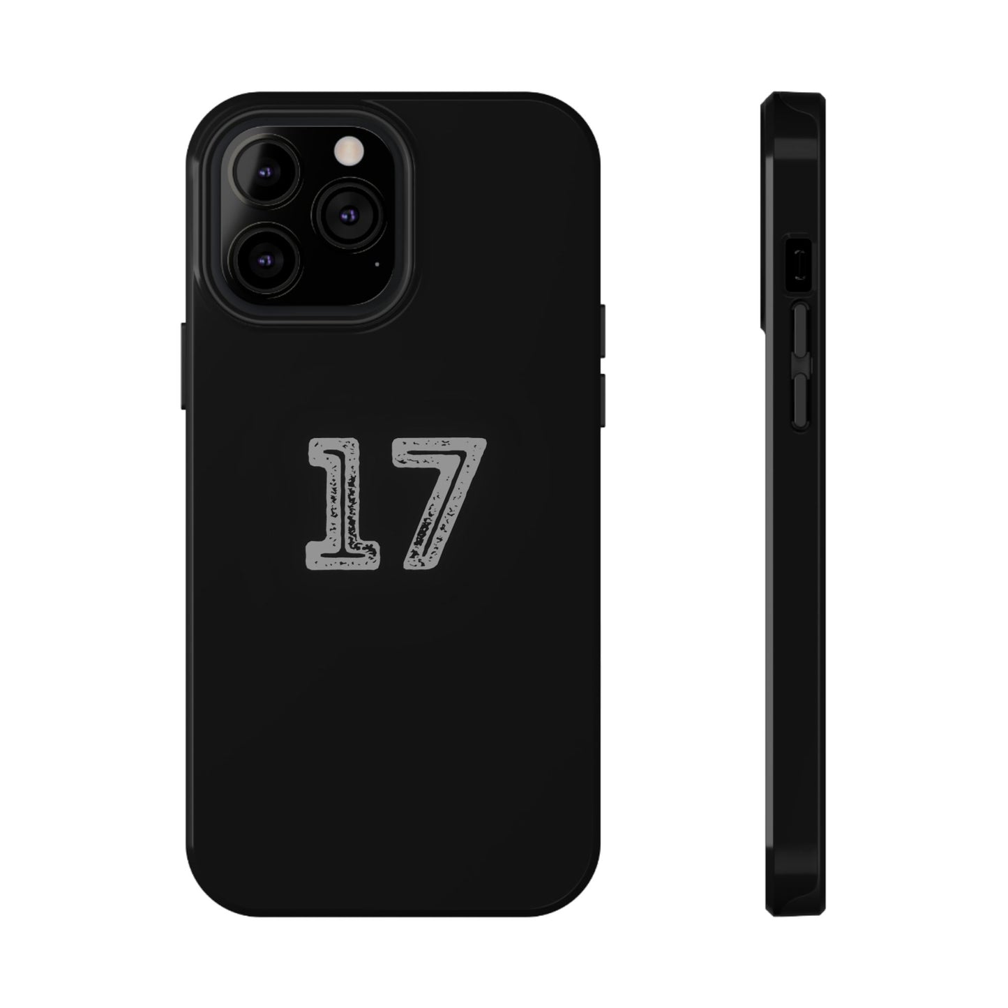 17 - Impact-Resistant Case