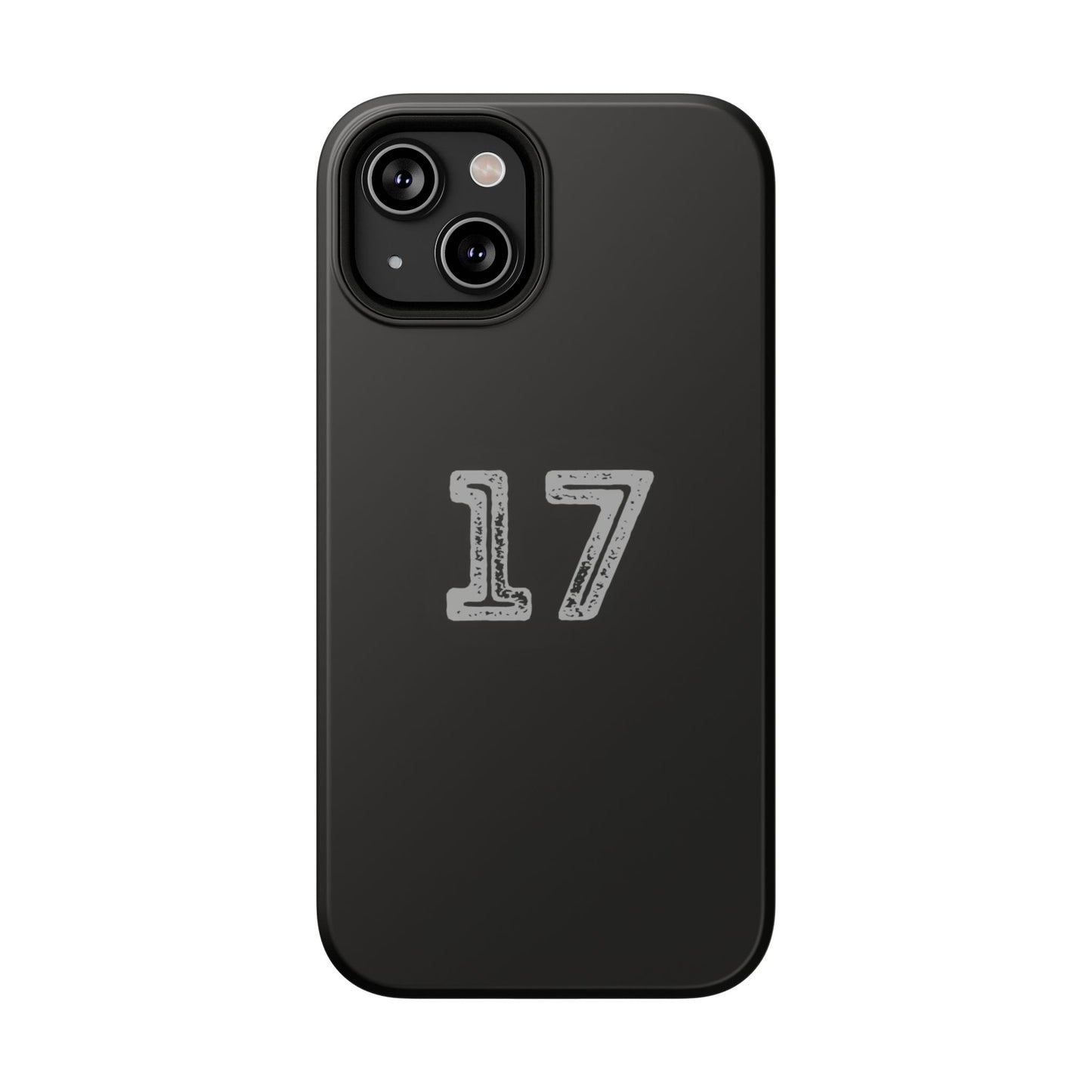 17 - Impact-Resistant Case