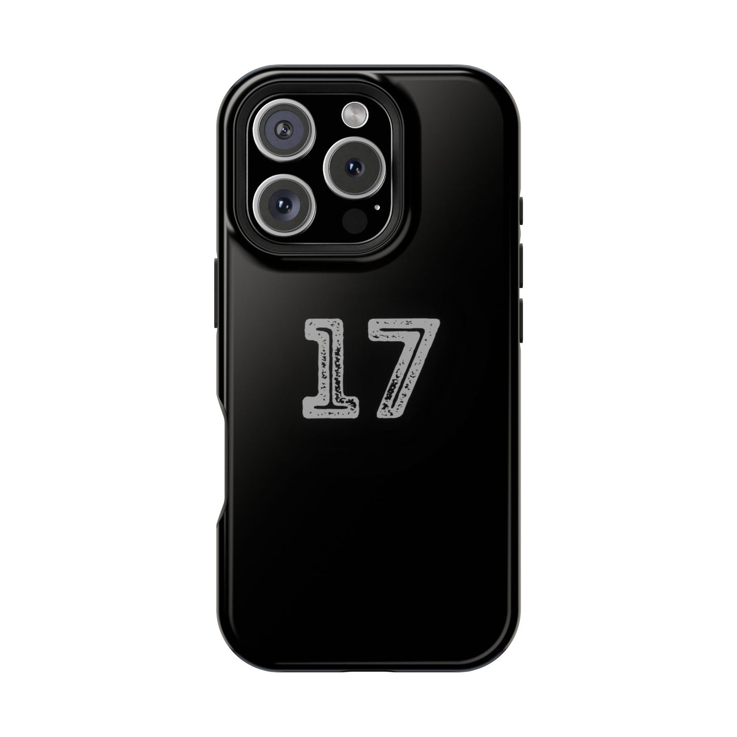 17 - Impact-Resistant Case