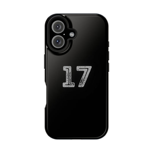 17 - Impact-Resistant Case