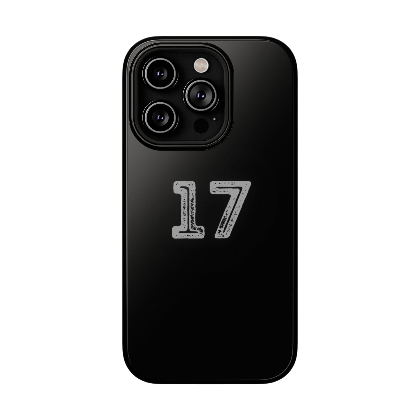 17 - Impact-Resistant Case
