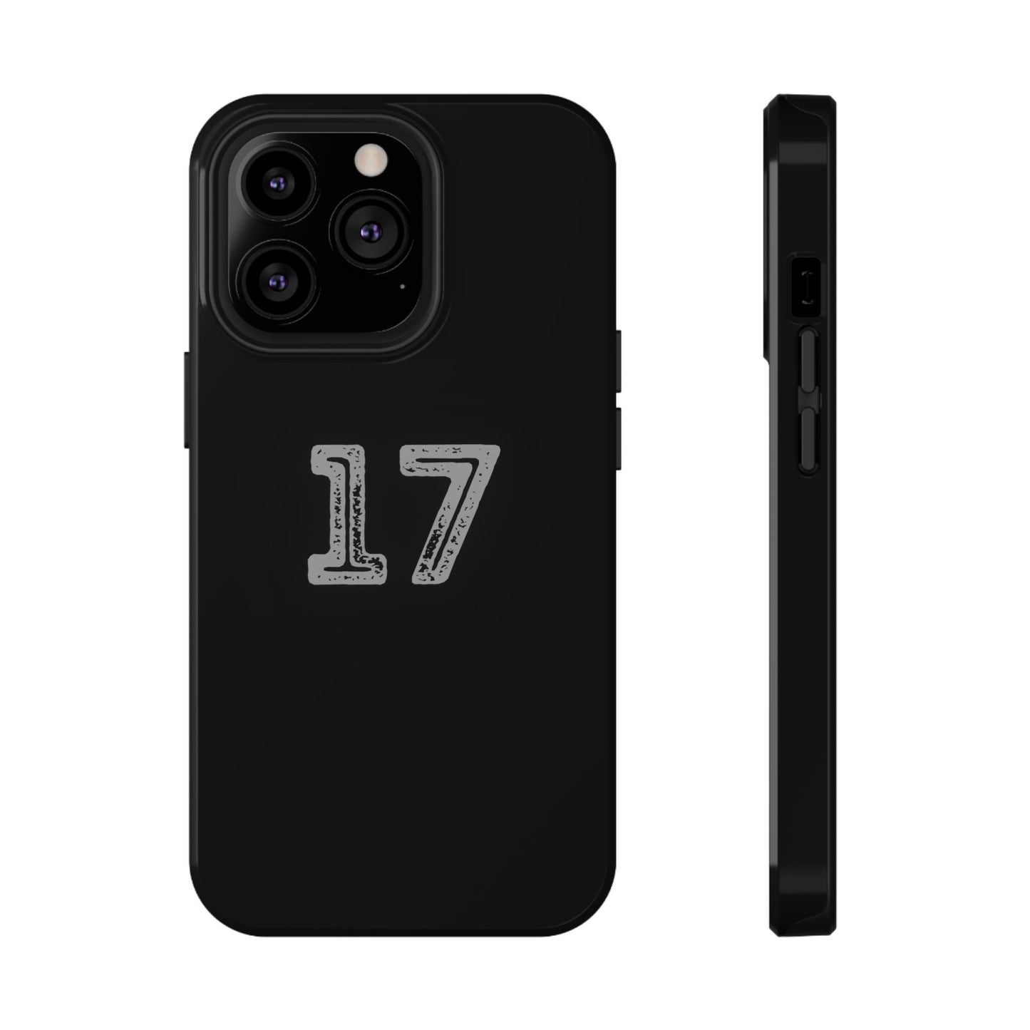17 - Impact-Resistant Case
