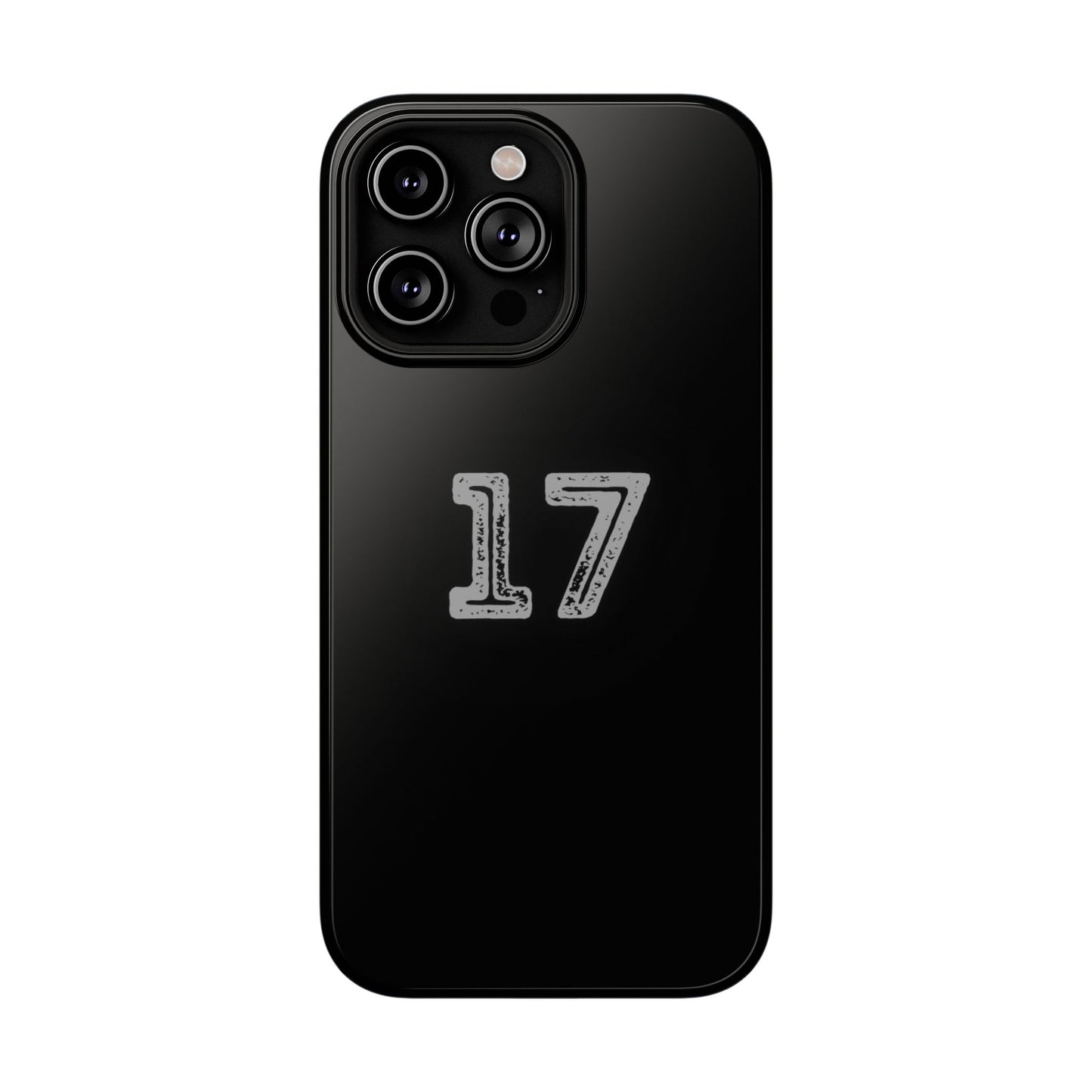 17 - Impact-Resistant Case