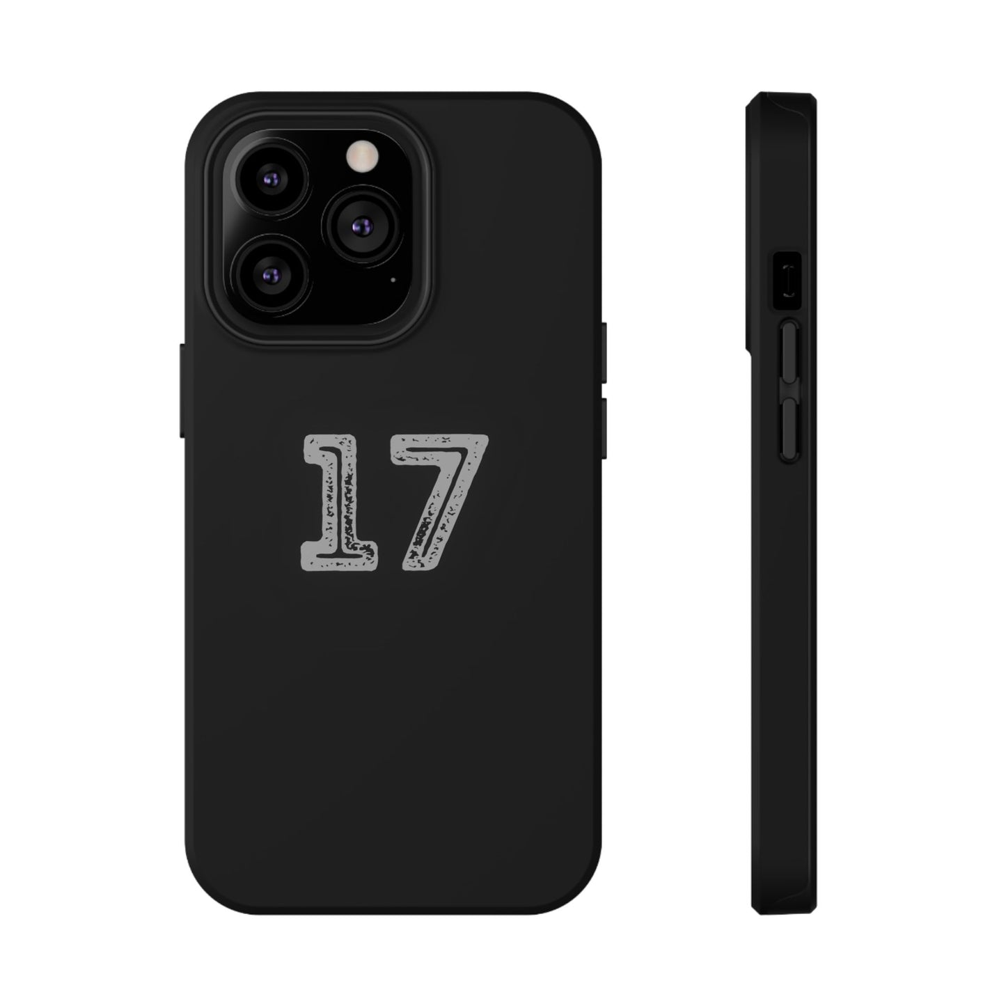 17 - Impact-Resistant Case